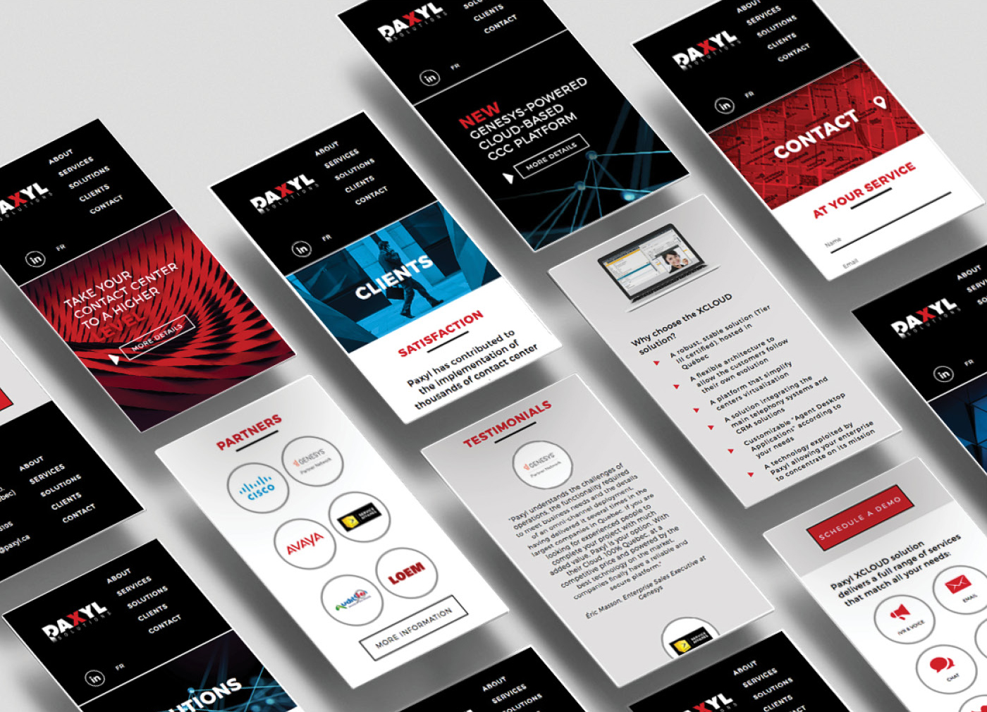 paxyl intro web page